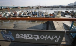 소래포구 어시장 재개장 - 사진 | 멀티미디어 | 대한민국 정책브리핑 소래포구 어시장 재개장