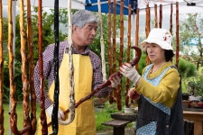 장수를 기원하는 지팡이 선물 ‘청려장’ - 사진 | 멀티미디어 | 대한민국 정책브리핑 장수를 기원하는 지팡이 선물 ‘청려장’