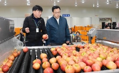 김병환 기재부 차관, 보은 과수거점 APC 현장방문 - 사진 | 멀티미디어 | 대한민국 정책브리핑 김병환 기재부 차관, 보은 과수거점 APC 현장방문