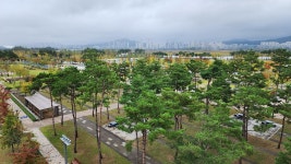 2024 도시숲 사랑 캠페인 - 사진 | 멀티미디어 | 대한민국 정책브리핑 2024 도시숲 사랑 캠페인
