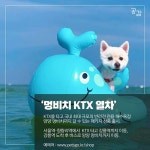 정책주간지 공감 올여름 펫캉스, 여기 어때?