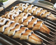 상세 | 찾아가는신문고 | 콘텐츠 : K-공감 : 나에게 든든한 정책주간지