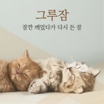 아름다운 순우리말, 얼마나 알고 계세요? - 정책뉴스 | 뉴스 | 대한민국 정책브리핑 아름다운 순우리말, 얼마나 알고 계세요?