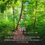 “올 여름에는 숲으로 가자” - 정책뉴스 | 뉴스 | 대한민국 정책브리핑 “올 여름에는 숲으로 가자”
