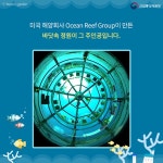 기상천외한 바닷속 정원, 이거 실화임? - 정책뉴스 | 뉴스 | 대한민국 정책브리핑 기상천외한 바닷속 정원, 이거 실화임?
