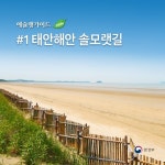 “올 여름방학은 자연과 함께”…① 태안해안 솔모랫길 - 정책뉴스... 정책브리핑 “올 여름방학은 자연과 함께”…① 태안해안 솔모랫길