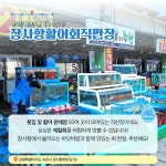 11월에 가기 좋은 어촌 안심 여행지 ② 강원 속초 장사어촌체험휴양마을 - 전체 | 카드/한컷 | 멀티미디어 | 대한민국 정책브리핑 11월에 가기... 