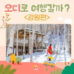 [항공스쿨] La coree libre_자유한국 ⑧ - 정책오디오 | 멀티미디어 | 대한민국 정책브리핑 [항공스쿨] La coree libre_자유한국 ⑧
