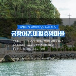 12월에 가기 좋은 어촌 안심 여행지 ② 경남 통영 궁항마을 - 전체 | 카드/한컷 | 멀티미디어 | 대한민국 정책브리핑 12월에 가기 좋은 어촌 안심... 