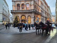클래식의 도시 비엔나…하이든, 모차르트 그리고 베토벤 - 오피니언... 대한민국 정책브리핑 클래식의 도시 비엔나…하이든, 모차르트 그리고 베토벤