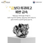 ‘백금’의 숨겨진 비밀 - 정책뉴스 | 뉴스 | 대한민국 정책브리핑 ‘백금’의 숨겨진 비밀