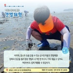 7월에 가기 좋은 어촌 안심 여행지 ① 충남 보령 삽시도마을 - 전체 | 카드/한컷 | 멀티미디어 | 대한민국 정책브리핑 7월에 가기 좋은 어촌 안심... 