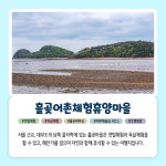 8월에 가기 좋은 어촌 안심 여행지① 경기 안산 흘곶마을 - 전체 | 카드... 8월에 가기 좋은 어촌 안심 여행지① 경기 안산 흘곶마을