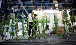 스마트농업 전문인력 육성 기관 첫 지정…순천대·연암대 - 정책뉴스 | 뉴스 | 대한민국 정책브리핑 스마트농업 전문인력 육성 기관 첫 지정... 