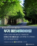 ‘반려동물 친화관광도시’ 떠나요! - 전체 | 카드/한컷 | 멀티미디어 | 대한민국 정책브리핑 ‘반려동물 친화관광도시’ 떠나요!