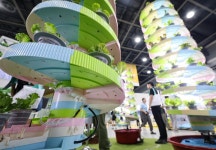 양양·제주 지역특화 임대형 스마트팜 추가 선정 - 정책뉴스 | 뉴스 | 대한민국 정책브리핑 양양·제주 지역특화 임대형 스마트팜 추가 선정 