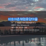 1월에 가기 좋은 어촌 안심 여행지 ① 경남 사천 비토마을 - 전체 | 카드... 정책브리핑 1월에 가기 좋은 어촌 안심 여행지 ① 경남 사천 비토마을