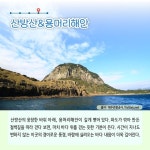 3월에 가기 좋은 어촌 안심 여행지 ① 제주 서귀포 사계마을 - 전체 | 카드/한컷 | 멀티미디어 | 대한민국 정책브리핑 3월에 가기 좋은 어촌 안심... 