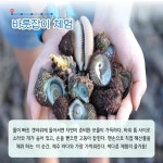 3월에 가기 좋은 어촌 안심 여행지 ① 제주 서귀포 사계마을 - 전체 | 카드/한컷 | 멀티미디어 | 대한민국 정책브리핑 3월에 가기 좋은 어촌 안심... 