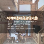 3월에 가기 좋은 어촌 안심 여행지 ① 제주 서귀포 사계마을 - 전체 | 카드/한컷 | 멀티미디어 | 대한민국 정책브리핑 3월에 가기 좋은 어촌 안심... 