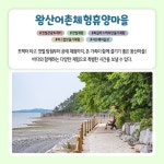 4월에 가기 좋은 어촌 안심 여행지 ① 충남 서산 왕산마을 - 전체 | 카드/한컷 | 멀티미디어 | 대한민국 정책브리핑 4월에 가기 좋은 어촌 안심... 