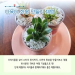 5월의 어촌 여행지, 전남 함평 돌머리마을 - 전체 | 카드/한컷 | 멀티미디어 | 대한민국 정책브리핑 추천! 5월의 어촌 여행지, 전남 함평... 