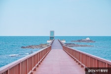일출부터 야경까지 다양한 매력 가득한 포항 랜선여행 - 정책뉴스... 대한민국 정책브리핑 일출부터 야경까지 다양한 매력 가득한 포항 랜선여행