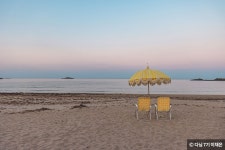 POINT 정책정보포털 | 정책뉴스