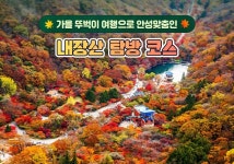 가을 뚜벅이 여행으로 안성맞춤인 내장산 탐방 코스 - 정책뉴스 | 뉴스 | 대한민국 정책브리핑 가을 뚜벅이 여행으로 안성맞춤인 내장산 탐방 코스