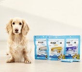 사료만으로는 부족해! 댕냥이 필수 유산균 | 미주중앙일보 사료만으로는 부족해! 댕냥이 필수 유산균  | 미주중앙일보