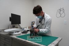 “반려동물 심장사상충 꼭 예방해야” | 미주중앙일보