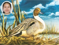 드림아트 미술학원, 텍사스 주니어 덕 스탬프 콘테스트에서 전체 1, 2, 3위 차지 | 미주중앙일보