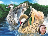 드림아트 미술학원, 텍사스 주니어 덕 스탬프 콘테스트에서 전체 1, 2, 3위 차지 | 미주중앙일보