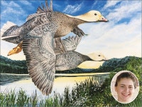 드림아트 미술학원, 텍사스 주니어 덕 스탬프 콘테스트에서 전체 1, 2, 3위 차지 | 미주중앙일보