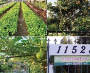 그린랜드농장 주말장터 한마당 | 미주중앙일보