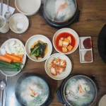 말복에 법후 가정집 삼계탕 먹으러 갔따온 후기. 
