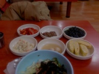 정문 앞 배불뚝이 참치비빔밥 정문 앞 \배불뚝이\ 참치비빔밥