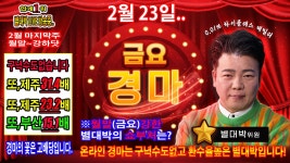 코리아레이스 경마