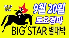 코리아레이스 경마별대박 전문가 게시판 읽기