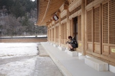 [화보] 월정사 템플스테이 [우리문화신문] [화보] 월정사 템플스테이