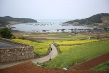 [화보] 슬로시티 청산도 [우리문화신문] [화보] 슬로시티 청산도