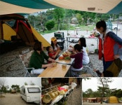 숲을 병풍 삼아 소나무 아래 하룻밤, 양평 솔뜰 캠핑장 어때요? [우리문화신문] 숲을 병풍 삼아 소나무 아래 하룻밤, 양평 솔뜰 캠핑장 어때요?