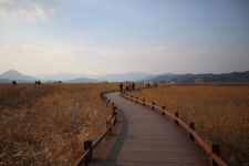 아름다운 순천만 자연 생태공원 [우리문화신문] 아름다운 순천만 자연 생태공원