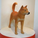 [화보] 진도에서 진돗개공원을 만나다 [우리문화신문] [화보] 진도에서 진돗개공원을 만나다