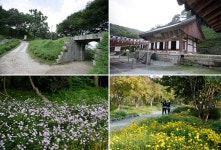 가을꽃에 허브향기, 체험마을도 고루 어울린 소풍길 [우리문화신문] 가을꽃에 허브향기, 체험마을도 고루 어울린 소풍길