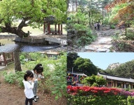 싱그러운 초여름 숲을 찾아, 홍성 용봉산자연휴양림 [우리문화신문] 싱그러운 초여름 숲을 찾아, 홍성 용봉산자연휴양림