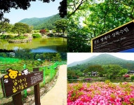 구름 숲 속 화가의 방 운림산방 [우리문화신문] 구름 숲 속 화가의 방 운림산방