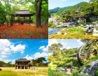 꽃무릇 즐기며 산삼과 물레방아골잔치를 함양에서 즐겨볼까? [우리문화신문] 꽃무릇 즐기며 산삼과 물레방아골잔치를 함양에서 즐겨볼까?