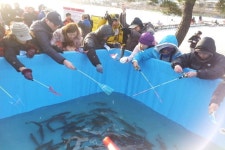 강화 왕방마을 인산저수지에서 즐기는 송어·빙어잔치 [우리문화신문] 강화 왕방마을 인산저수지에서 즐기는 송어·빙어잔치