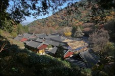 [화보] 경남 고성 연화산 옥천사의 가을 [우리문화신문] [화보] 경남 고성 연화산 옥천사의 가을